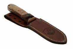 Condor Tactical P.A.S.S. Chute Knife, Cuchillo Fijo -Cuchillos Ventas 2024 CTK1827 105 4C 06 condor