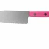 Sakai Takayuki Kids 07401 Cuchillo De Chef Para Niños Rosa 12 Cm 1 Sakai Takayuki Kids 07401 Cuchillo De Chef Para Niños Rosa 12 Cm -Cuchillos Ventas 2024 TA07401 01 sakai takayuki