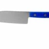 Sakai Takayuki Kids 07402 Cuchillo De Chef Para Niños Azul 12 Cm 1 Sakai Takayuki Kids 07402 Cuchillo De Chef Para Niños Azul 12 Cm -Cuchillos Ventas 2024 TA07402 01 sakai takayuki
